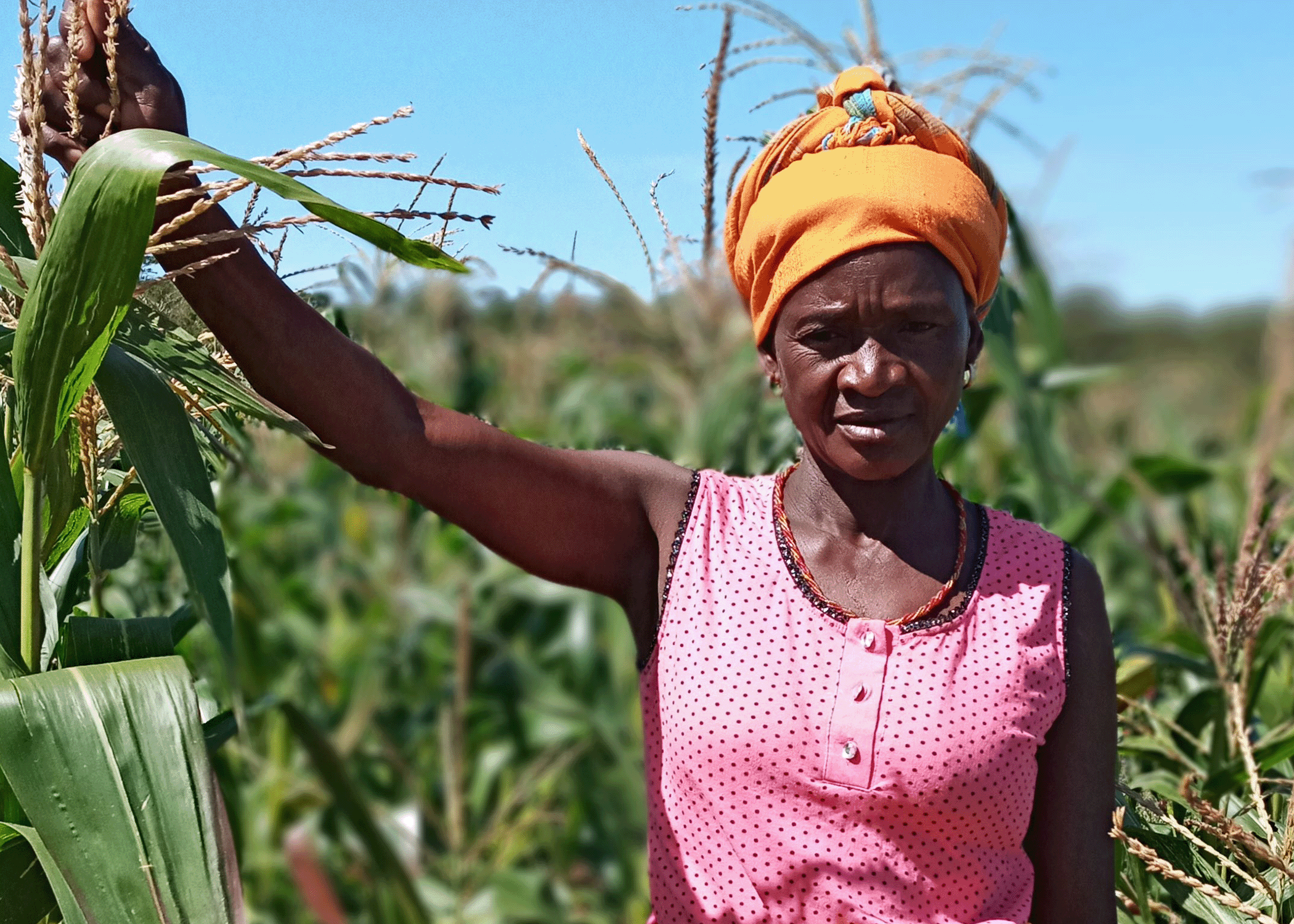 combater-a-fome-em-angola-abordagem-integrada-da-world-vision-angola
